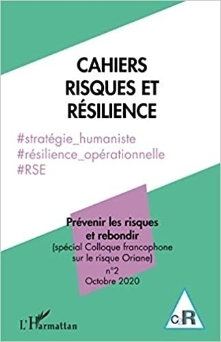 Prévenir les risques et rebondir: Cahiers Risques et Résilience n°2 - Résilience Organisationnelle